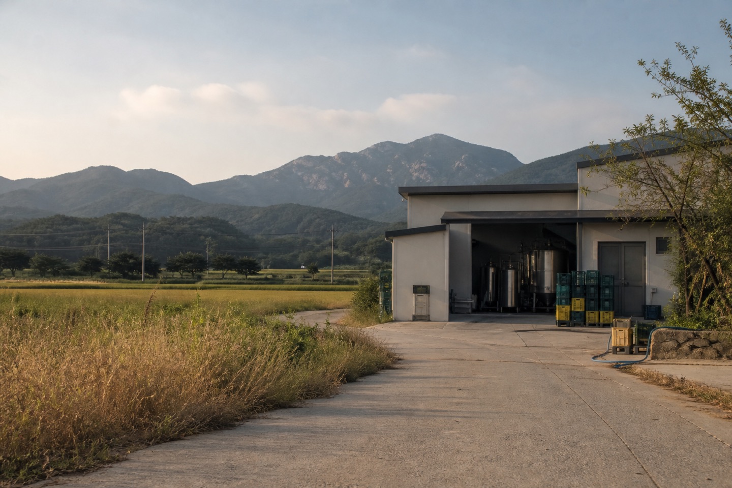大邱郊外の田と醸造所への道を捉えた編集用コンセプト画像